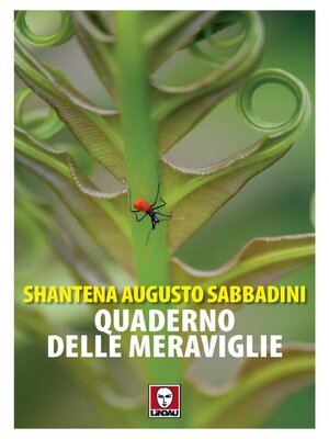 cover image of Quaderno delle meraviglie